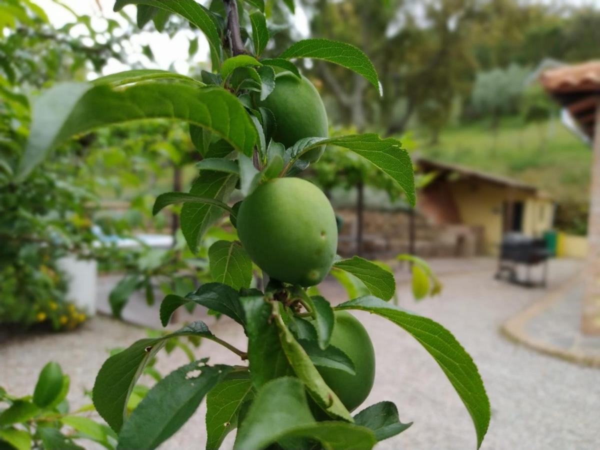 Casa Rural El Bonito Касала де ла Сиера Екстериор снимка