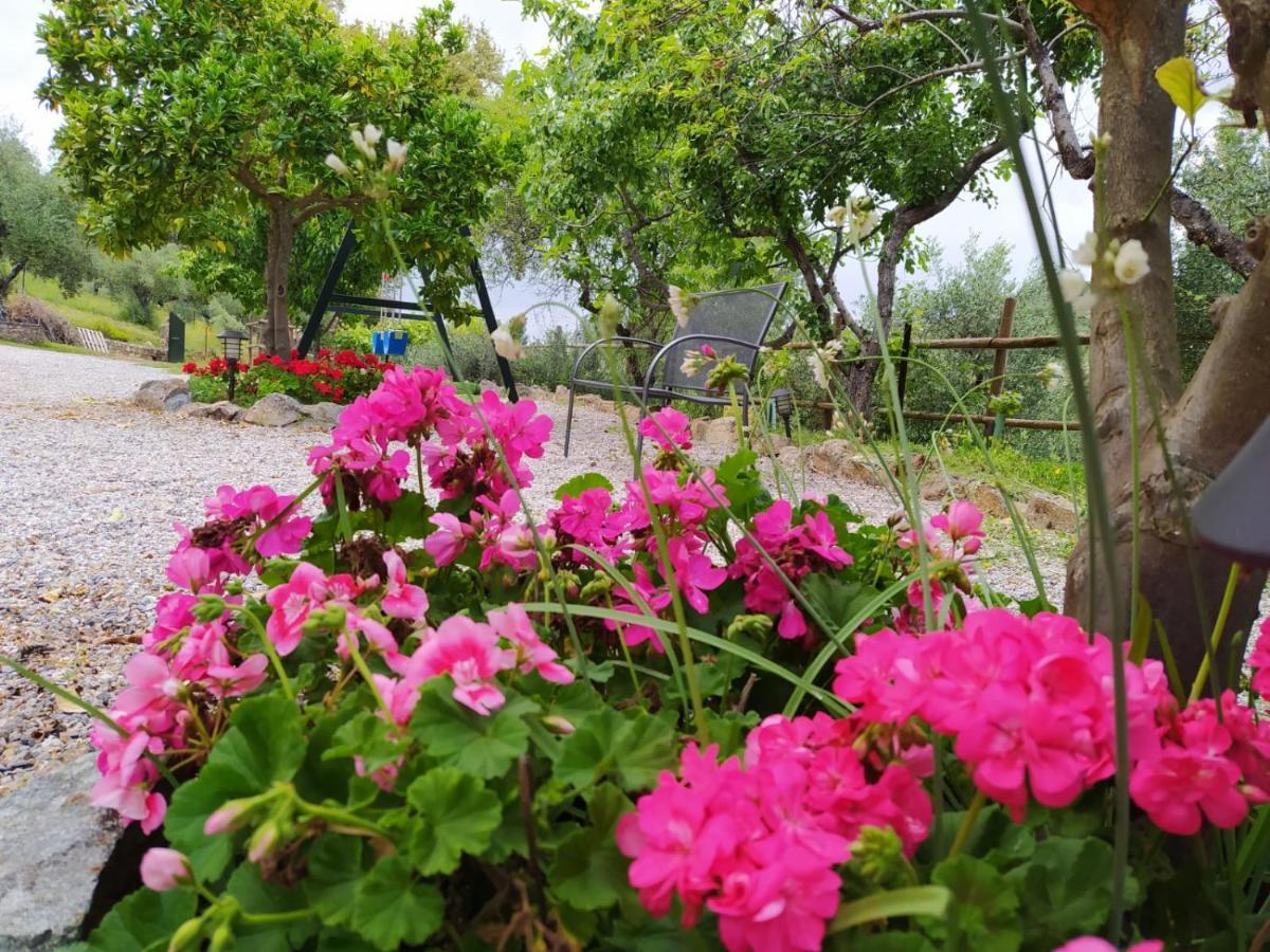 Casa Rural El Bonito Касала де ла Сиера Екстериор снимка